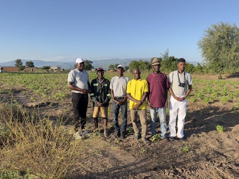 Sowing Hope in Malawi’s Sesame Farms After Cyclones