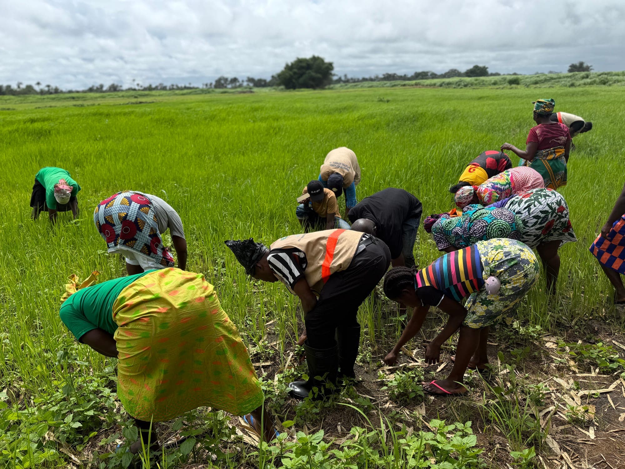 Cultivating Change: Agricultural Training Transforms Lives in Sierra Leone