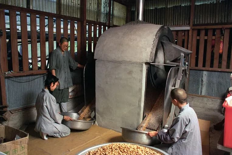 A 60-Year Journey of Practice and Aspiration: Growth from Founding to Foundation