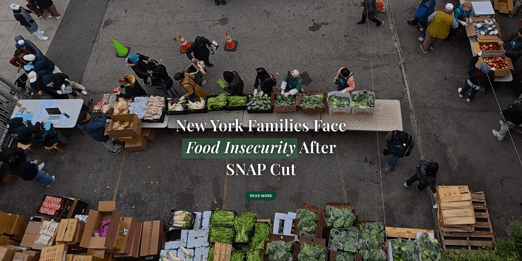 New York families face food insecurity after SNAP Cut