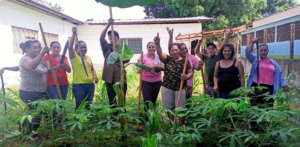 Cultivating Food and Hope in Post-Pandemic Honduras