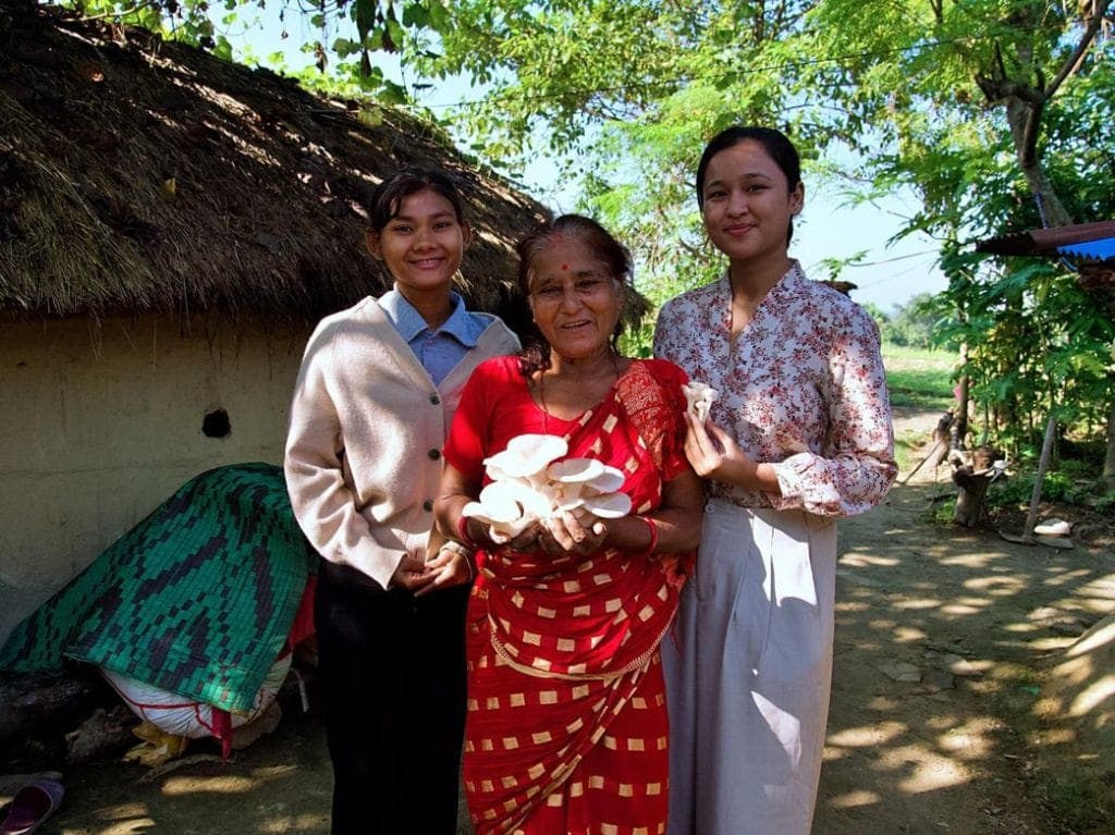 Kapilavastu mushroom farm empowers villagers
